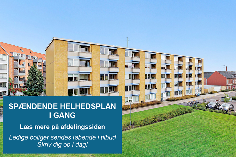 Billede